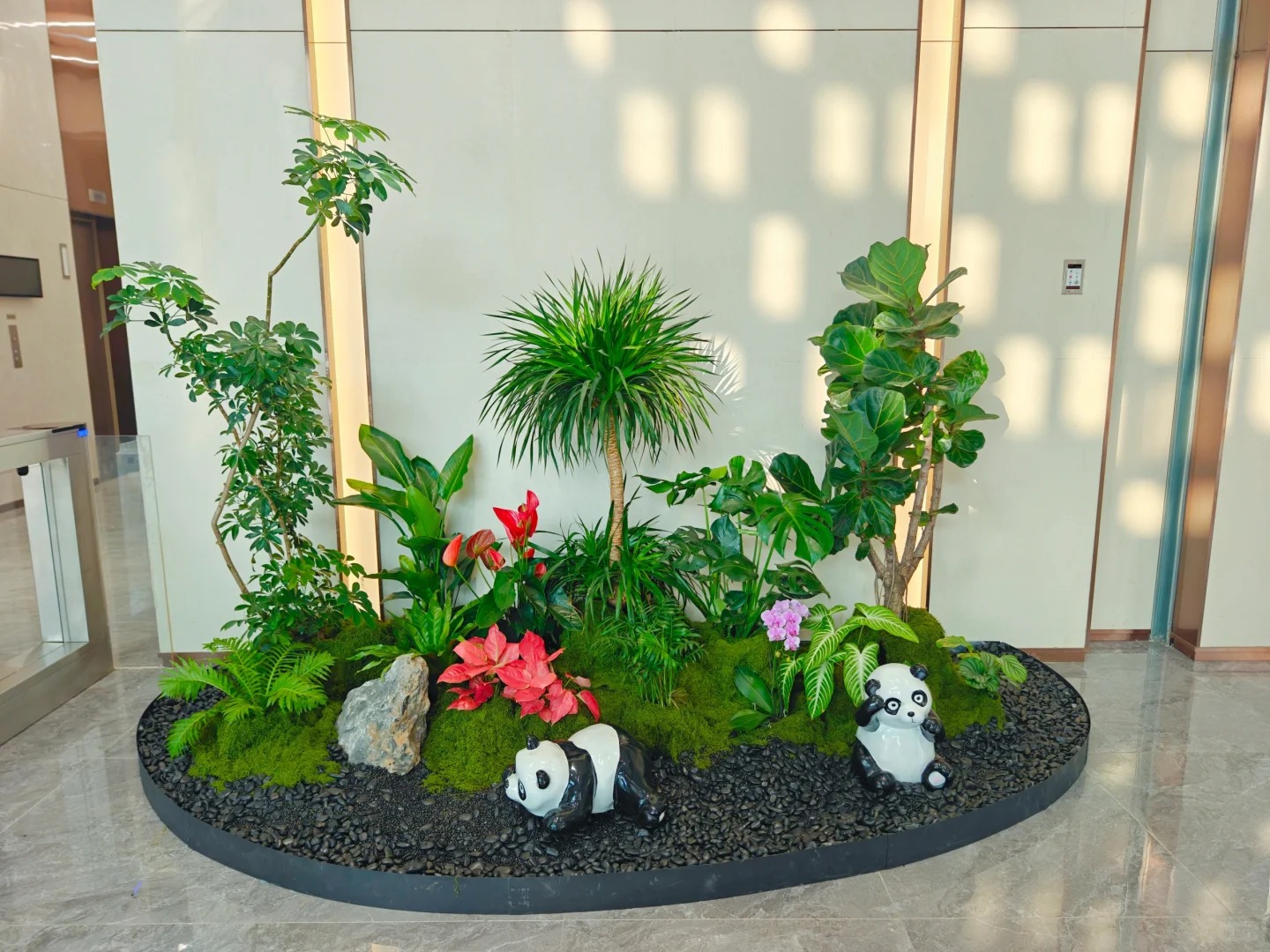 专业余姚绿植租摆，满足您对绿色的所有期待